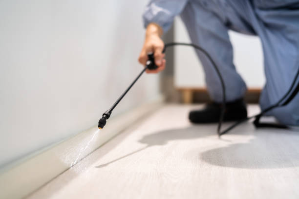 Licensed Mosquito Control service in North Potomac, MD - Show Me Pest Control