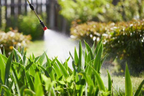 24/7 Emergency Mosquito Control experts in North Potomac, MD