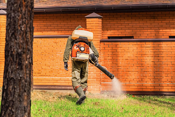 Top rated local Mosquito Control specialists in North Potomac, MD